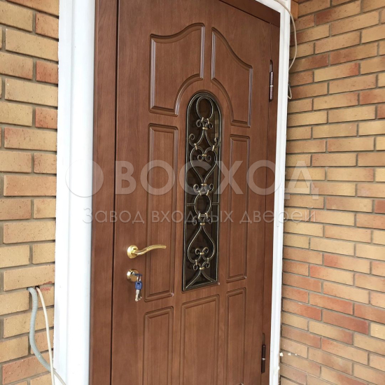 Фото стальной двери №50