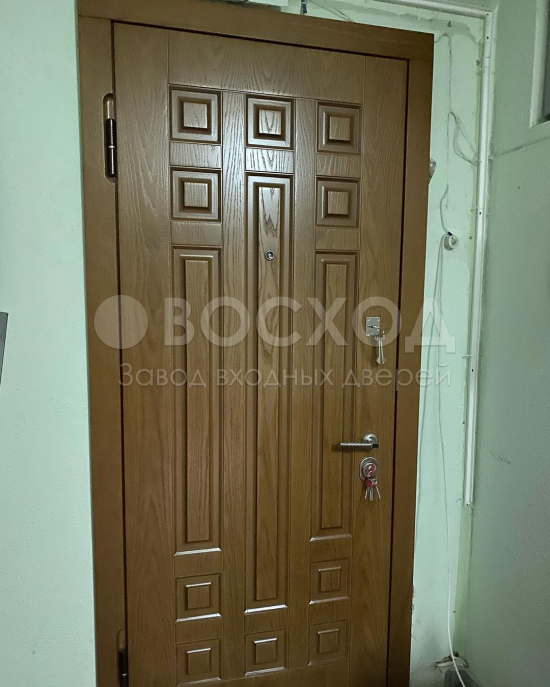 Фото стальной двери №52